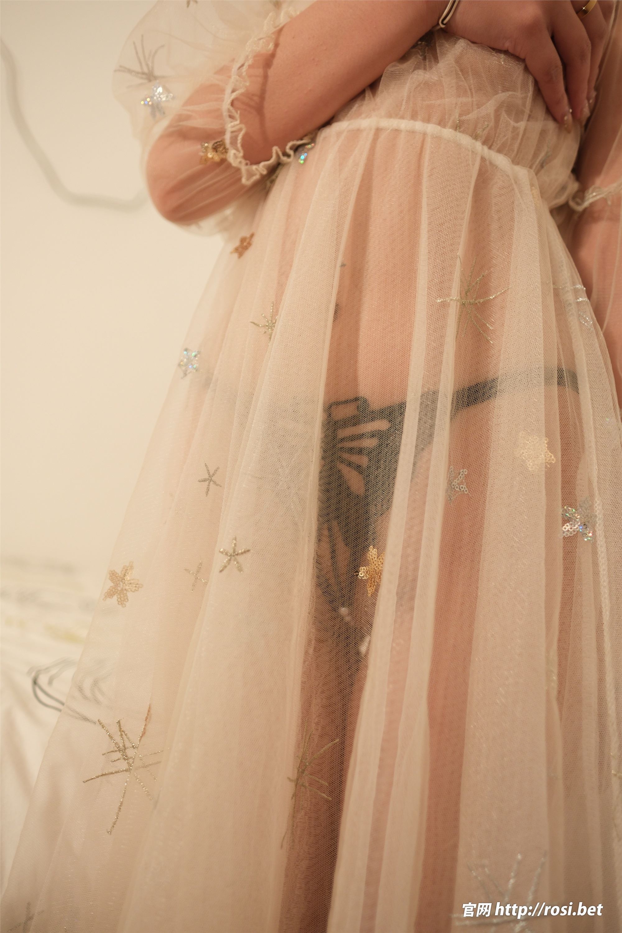 ROSI写真 2024.11.28 NO.4742